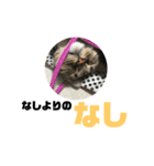 我が家の えだまめ先生 スタンプ 2（個別スタンプ：26）