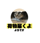 我が家の えだまめ先生 スタンプ 2（個別スタンプ：29）