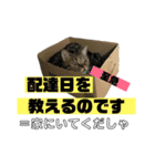 我が家の えだまめ先生 スタンプ 2（個別スタンプ：30）