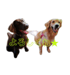 りんぐ（個別スタンプ：6）
