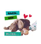 りんぐ（個別スタンプ：13）