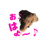 りんぐ（個別スタンプ：14）