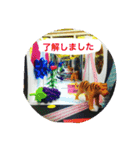 美術教室の連絡スタンプ（個別スタンプ：11）