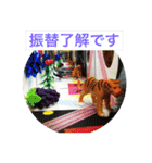 美術教室の連絡スタンプ（個別スタンプ：34）