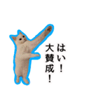 ニギハヤミコハクヌコ（個別スタンプ：2）