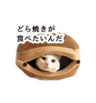 ニギハヤミコハクヌコ（個別スタンプ：13）