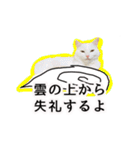 ニギハヤミコハクヌコ（個別スタンプ：23）