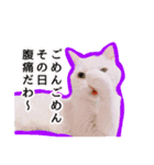 ニギハヤミコハクヌコ（個別スタンプ：25）