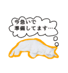 ニギハヤミコハクヌコ（個別スタンプ：30）