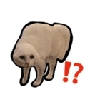ニギハヤミコハクヌコ（個別スタンプ：40）
