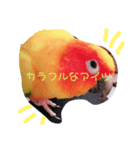 我が家のカラフルなアイツ（個別スタンプ：1）