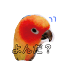 我が家のカラフルなアイツ（個別スタンプ：2）