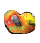 我が家のカラフルなアイツ（個別スタンプ：7）