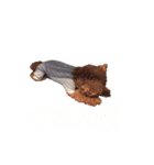 サイカ（個別スタンプ：1）