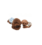 サイカ（個別スタンプ：2）