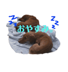 姪っ子 甥っ子（個別スタンプ：14）
