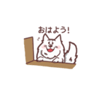 いつも一緒サモエドスタンプ（個別スタンプ：5）