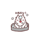 いつも一緒サモエドスタンプ（個別スタンプ：38）