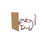 いつも一緒サモエドスタンプ（個別スタンプ：40）