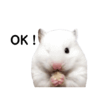 ふあふふファミリー＆ミルちゃん 敬語（個別スタンプ：11）