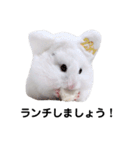 ふあふふファミリー＆ミルちゃん 敬語（個別スタンプ：33）