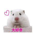 ふあふふファミリー＆ミルちゃん 敬語（個別スタンプ：36）