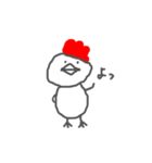 にわとりぱんつ（個別スタンプ：1）