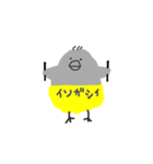 にわとりぱんつ（個別スタンプ：16）