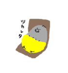 にわとりぱんつ（個別スタンプ：20）