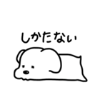 ほぼしろいいぬ（個別スタンプ：13）