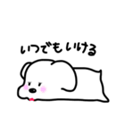 ほぼしろいいぬ（個別スタンプ：18）