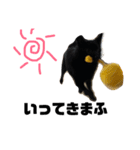 うちのねこといぬ（個別スタンプ：8）