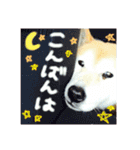 ちゃみスタンプ②（個別スタンプ：3）