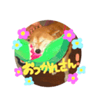 ちゃみスタンプ②（個別スタンプ：9）
