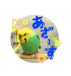 ちゃみスタンプ②（個別スタンプ：22）
