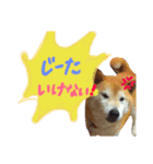 ちゃみスタンプ②（個別スタンプ：23）