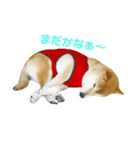 ぱんチャン（個別スタンプ：5）