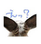 うさぎのおマメ（個別スタンプ：8）