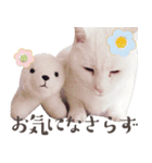 みみとりんPART2（個別スタンプ：4）