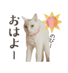 みみとりんPART2（個別スタンプ：5）