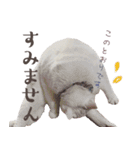 みみとりんPART2（個別スタンプ：11）
