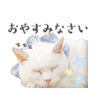 みみとりんPART2（個別スタンプ：12）