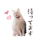 みみとりんPART2（個別スタンプ：17）