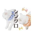 みみとりんPART2（個別スタンプ：19）