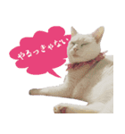 みみとりんPART2（個別スタンプ：21）