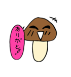 きのくんの日常（個別スタンプ：11）