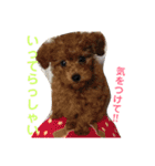 むぎ屋（個別スタンプ：3）