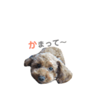 むぎ屋（個別スタンプ：8）