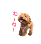 むぎ屋（個別スタンプ：11）