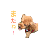 むぎ屋（個別スタンプ：13）